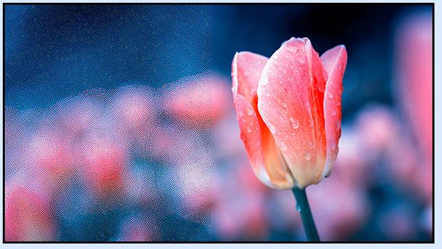 原装三星DID液晶拼接显示屏系统具有以下优势