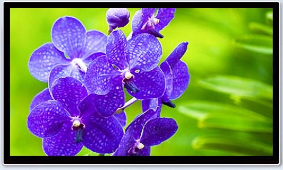 一体机在智慧展厅中的应用表现