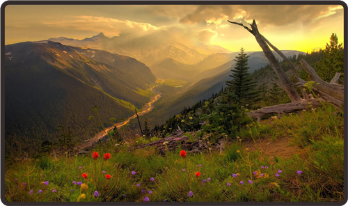 多媒体广告机在零售行业中应用的好处