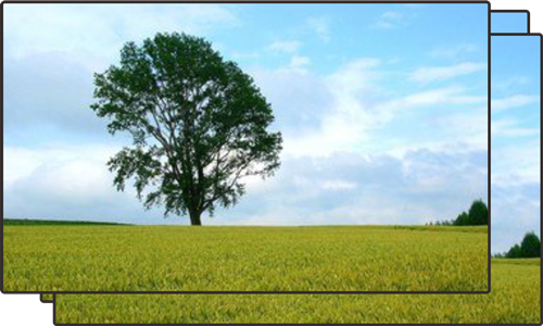 液晶拼接屏企业品牌价值越来越重要