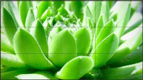 在竞争激烈的拼接显示屏市场，企业如何突围很重要！