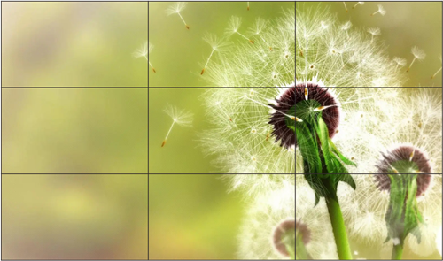 55寸液晶拼接屏选用什么品牌的液晶面板