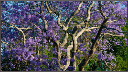 液晶屏和LED屏哪个清晰，哪个分辨率高