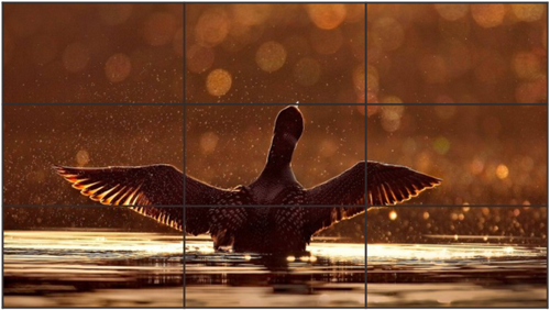 常见的四种多媒体教学大屏幕，你会选择那种呢!