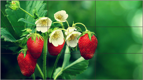 直播越来受欢迎，那么直播画面怎么显示到大屏幕