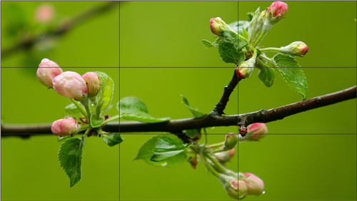 液晶拼接大屏适用于哪些场景