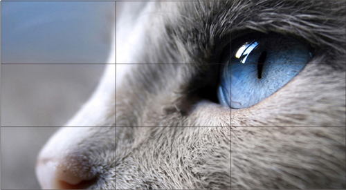 液晶拼接屏与电视之间有何区别？