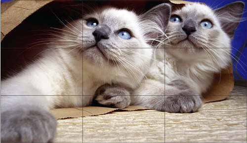 怎么把多台显示器拼接成一个大屏幕