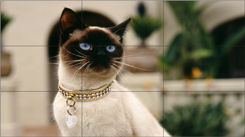 LED显示屏的分辨率是多少