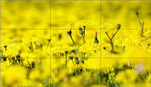 投影和LED屏优缺点，LED屏和投影的效果对比