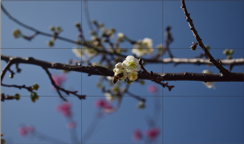 液晶拼接墙企业如何找准品牌发展之路?