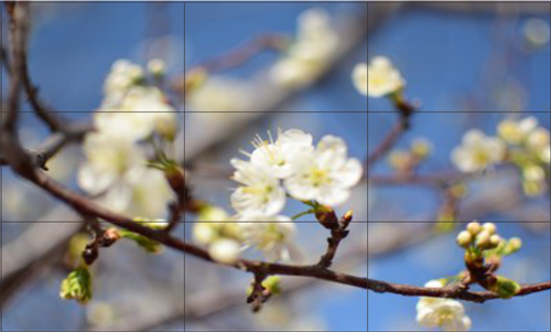 小间距LED与LCD拼接屏哪个好