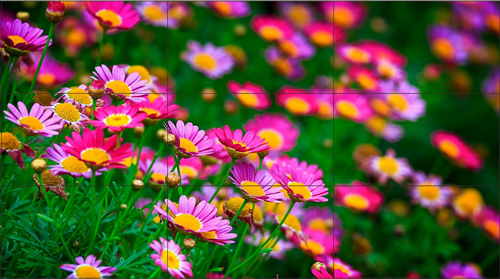 LED拼接屏经销商应该做好营销策略的完善