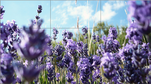 解决好售后服务， 成液晶拼接屏企业发展关键