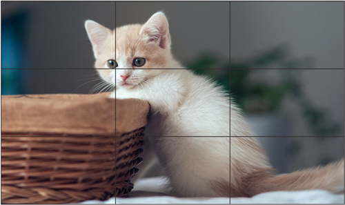 拼接大屏企业如何把自己发展的更好呢?