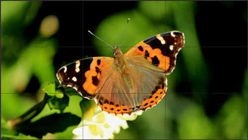 拼接屏与矩阵之间连接的工作原理