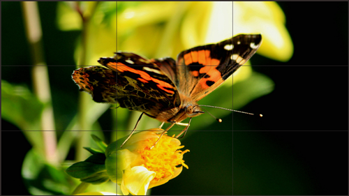 无缝液晶拼接屏和LED显示屏技术详解