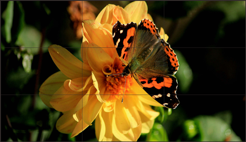 拼接屏的亮度会不会受到品牌、型号和尺寸的影响