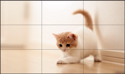 安装环境对拼接屏的使用有什么影响