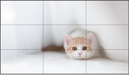 数据中心什么尺寸的拼接屏比较好