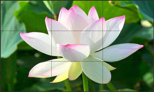 液晶拼接屏与物联网的实质结合不是未来，而是现在