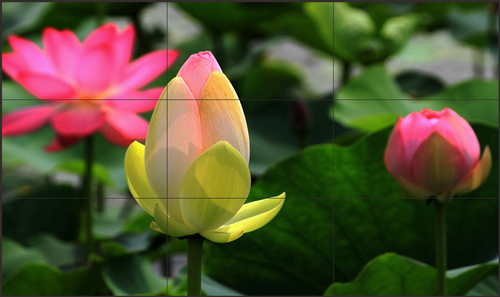 需求强劲，LED显示屏上游芯片和封装企业在扩产