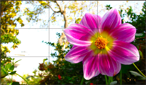 监控显示系统为什么要选择液晶拼接屏呢？