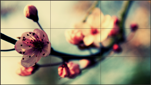 液晶拼接大屏，实现无缝拼接的完美呈现！