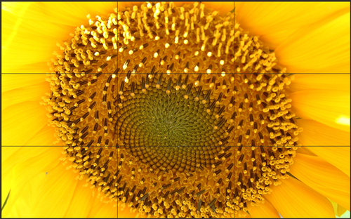 LCD拼接大屏在数字广告牌领域的市场前景