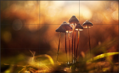 解读液晶拼接屏技术趋势，竞争激烈中的新机会