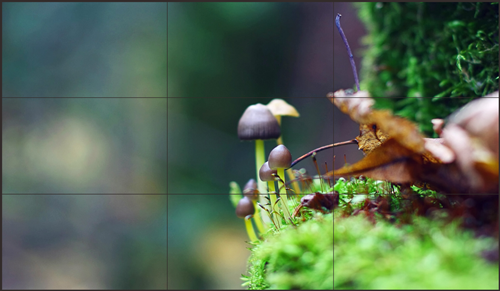 广告机市场分析，数字化转型下的机遇与挑战