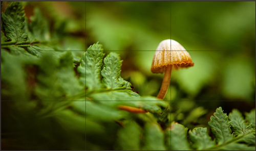 教学一体机,互联网+时代下的革新与变革