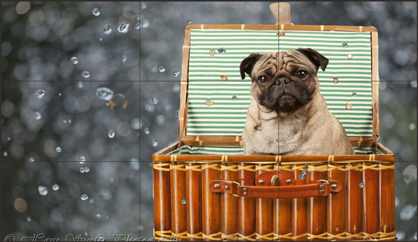 如何选择适合自己的LCD拼接屏？