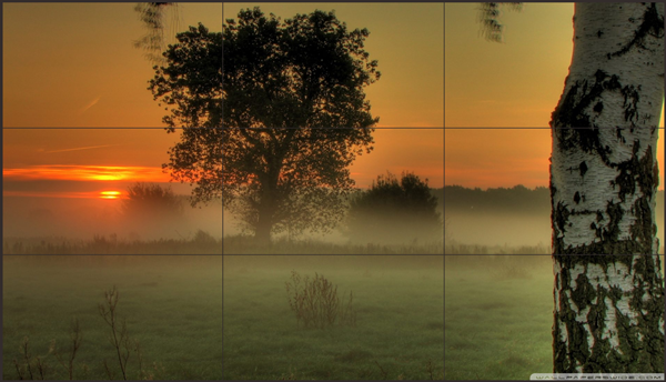 OLED拼接屏绚烂色彩、高对比度、高刷新率，重现真实色彩