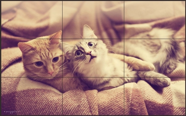 OLED拼接屏提供高品质的视觉体验，成为博物馆、艺术馆等场馆的选择