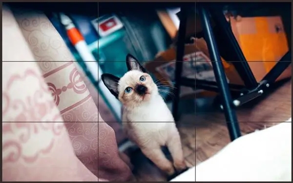 拼接屏应用越来越广泛，从展示展览到高端商业场合